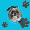 ROGER ARNS PETCARE